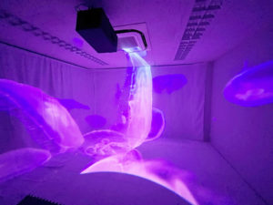 Reve360 VR Projector