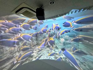 Reve360　アクアリウム